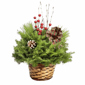 Holiday Centerpiece